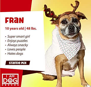 Photo of Fran