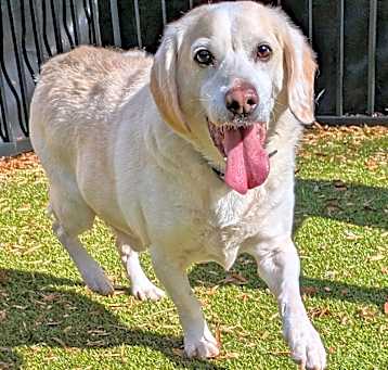 Photo of Ernie
