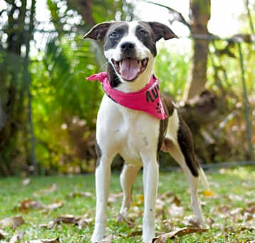 Photo of Meadow