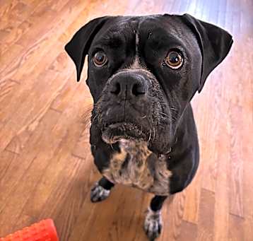 Photo of Macy