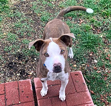 Photo of Hazel
