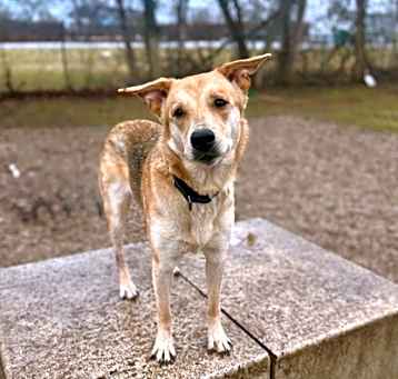 Photo of Chili