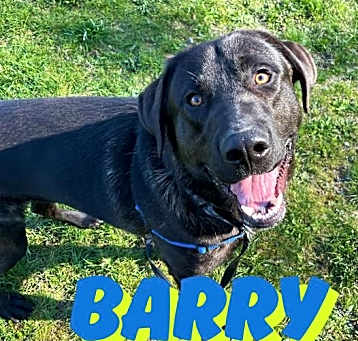 Photo of Barry