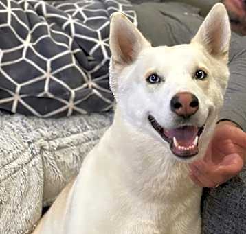 Photo of Layla