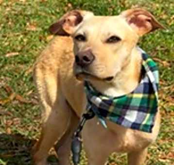 Photo of Patrick (Cocoa)