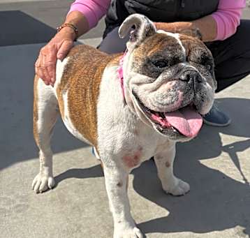 Photo of Rosie