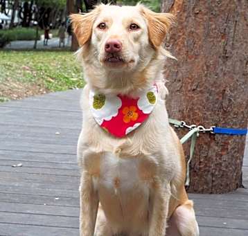 Photo of Molly