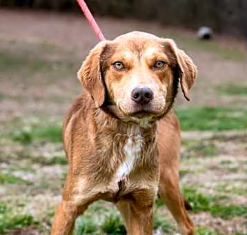Photo of Phineas