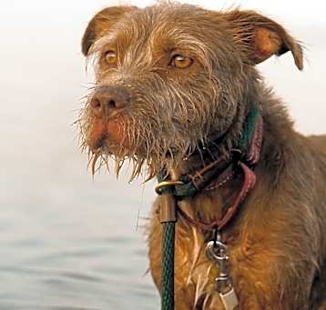 Photo of Sandford