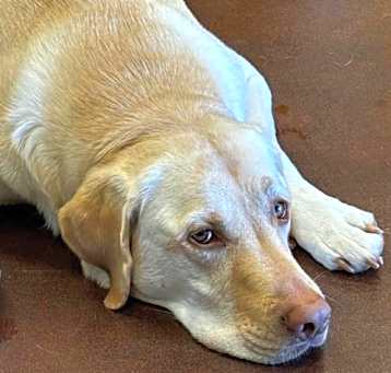 Photo of Molly Urgent