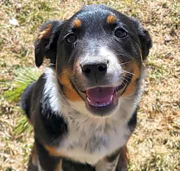 Photo of Cisco