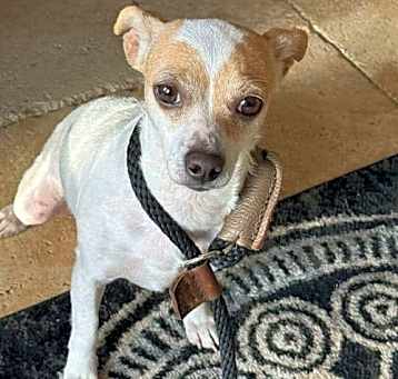 Photo of Twig (AL)