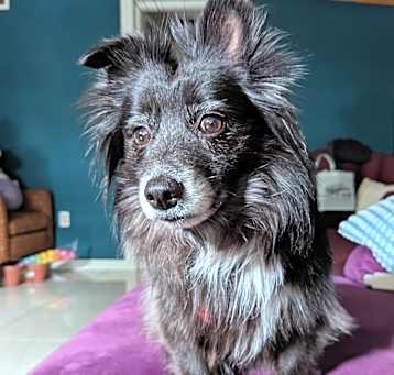 Photo of Evie