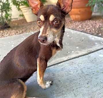 Photo of PEPA