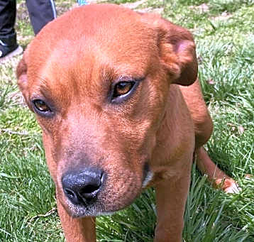 Photo of Bobbie