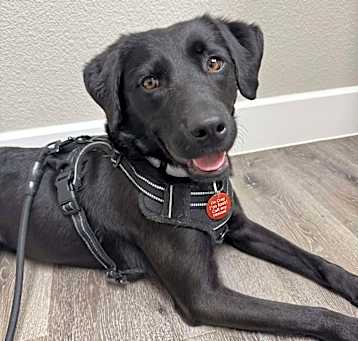 Photo of Clover