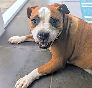 Photo of 2503-0929 Maya