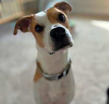 Photo of Kepler