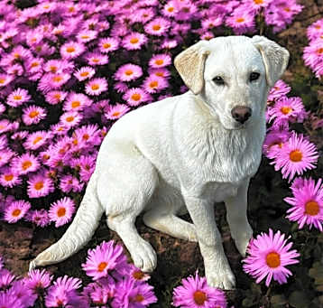 Photo of Mia