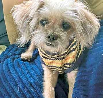 Photo of Buttons