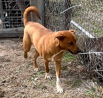 Photo of Danner