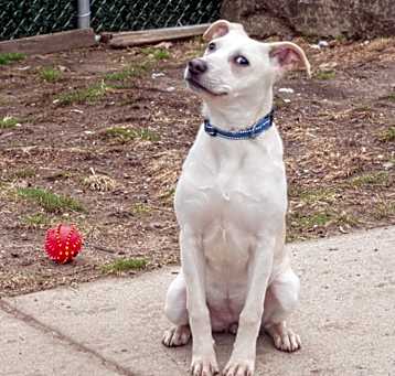 Photo of Rosie