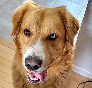 Photo of Ernie