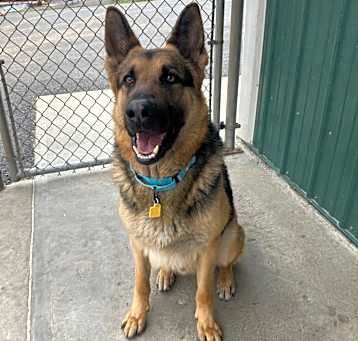Photo of Stormy