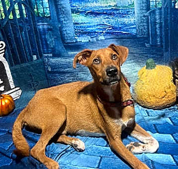 Photo of Danner