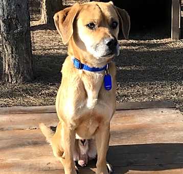 Photo of Baxter