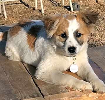 Photo of Kaiser