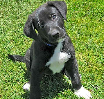 Photo of Bree