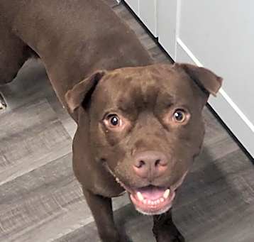 Photo of Renegade