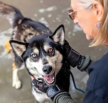Photo of Pecan Praline -ADOPTED -TA