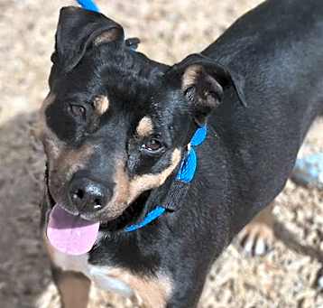 Photo of TINKERBELL