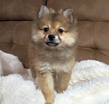 Photo of Darcey