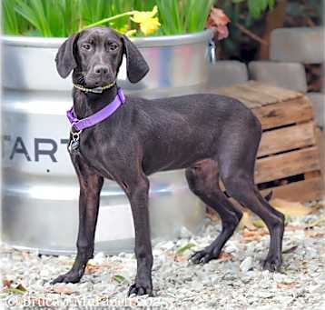 Photo of Ragnar