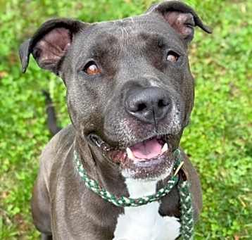 Photo of Nyla