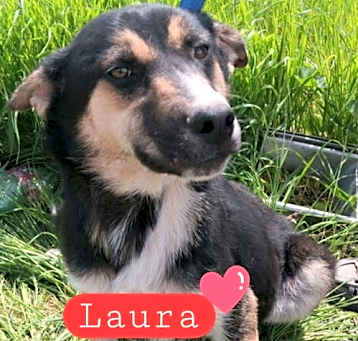 Photo of Laura
