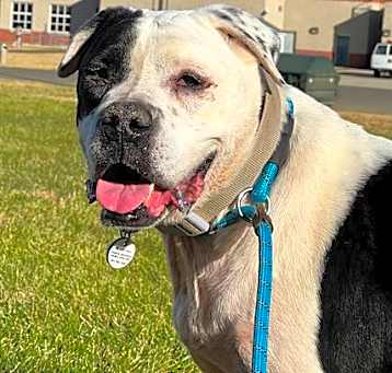 Photo of *TANK