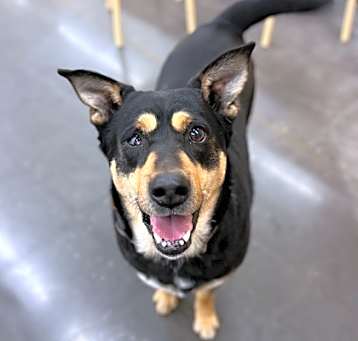 Photo of Lexy