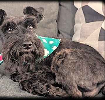 Photo of Sikey