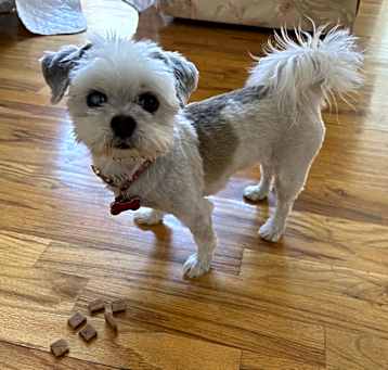 Photo of Audrey