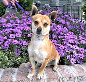 Photo of Lucky