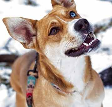 Photo of Artemis