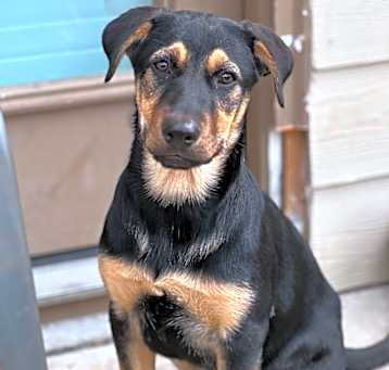 Photo of Sookie