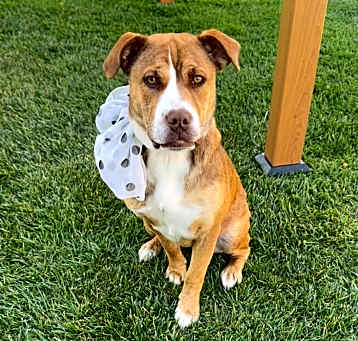 Photo of Hazel