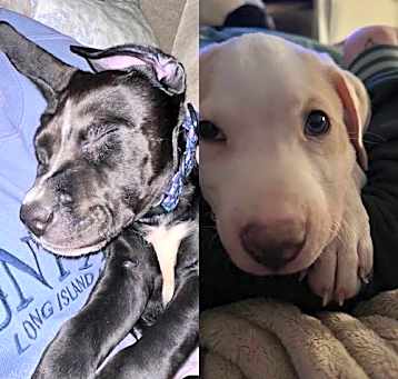 Photo of Daisy and Violet