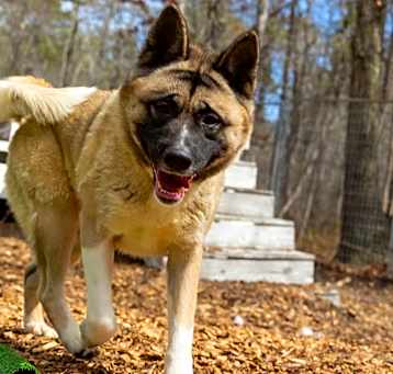 Photo of Tina