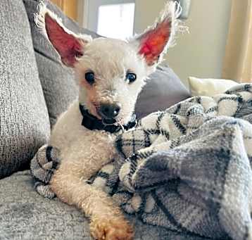 Photo of Rammy